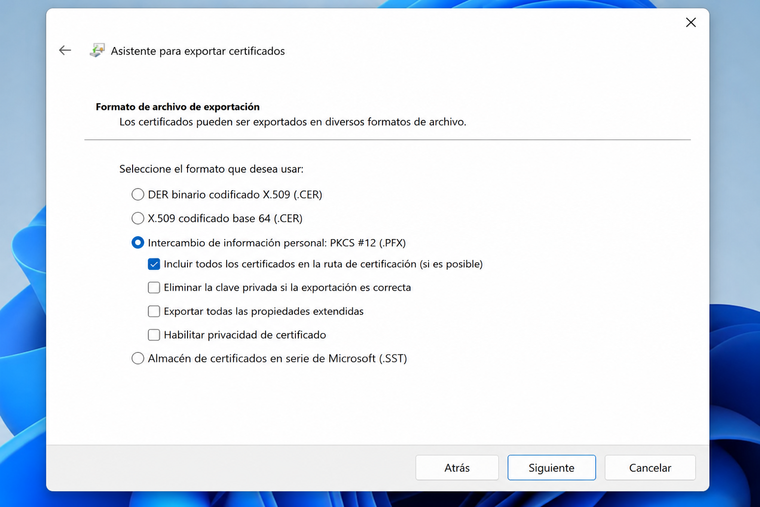 Asistente: formato PKCS #12 PFX
